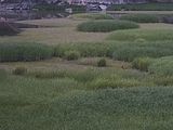 PHTO0003 (6)